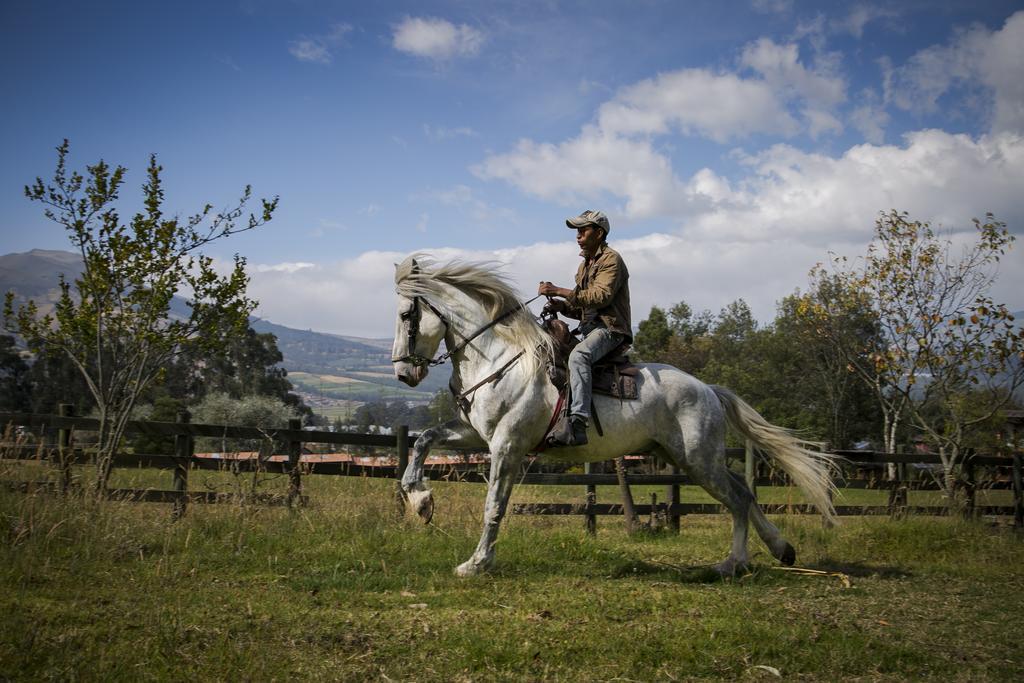 Hacienda Hosteria San Luis Cayambe Dış mekan fotoğraf