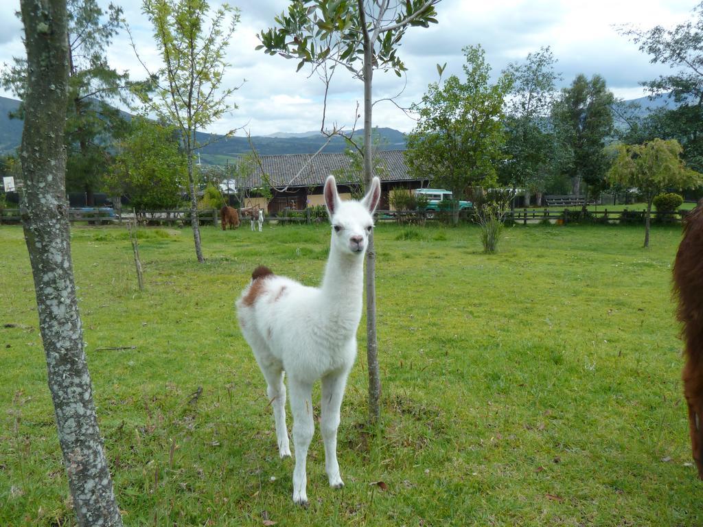 Hacienda Hosteria San Luis Cayambe Dış mekan fotoğraf
