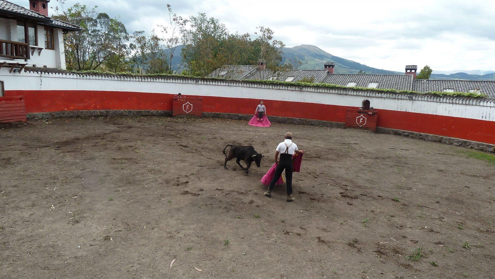 Hacienda Hosteria San Luis Cayambe Dış mekan fotoğraf
