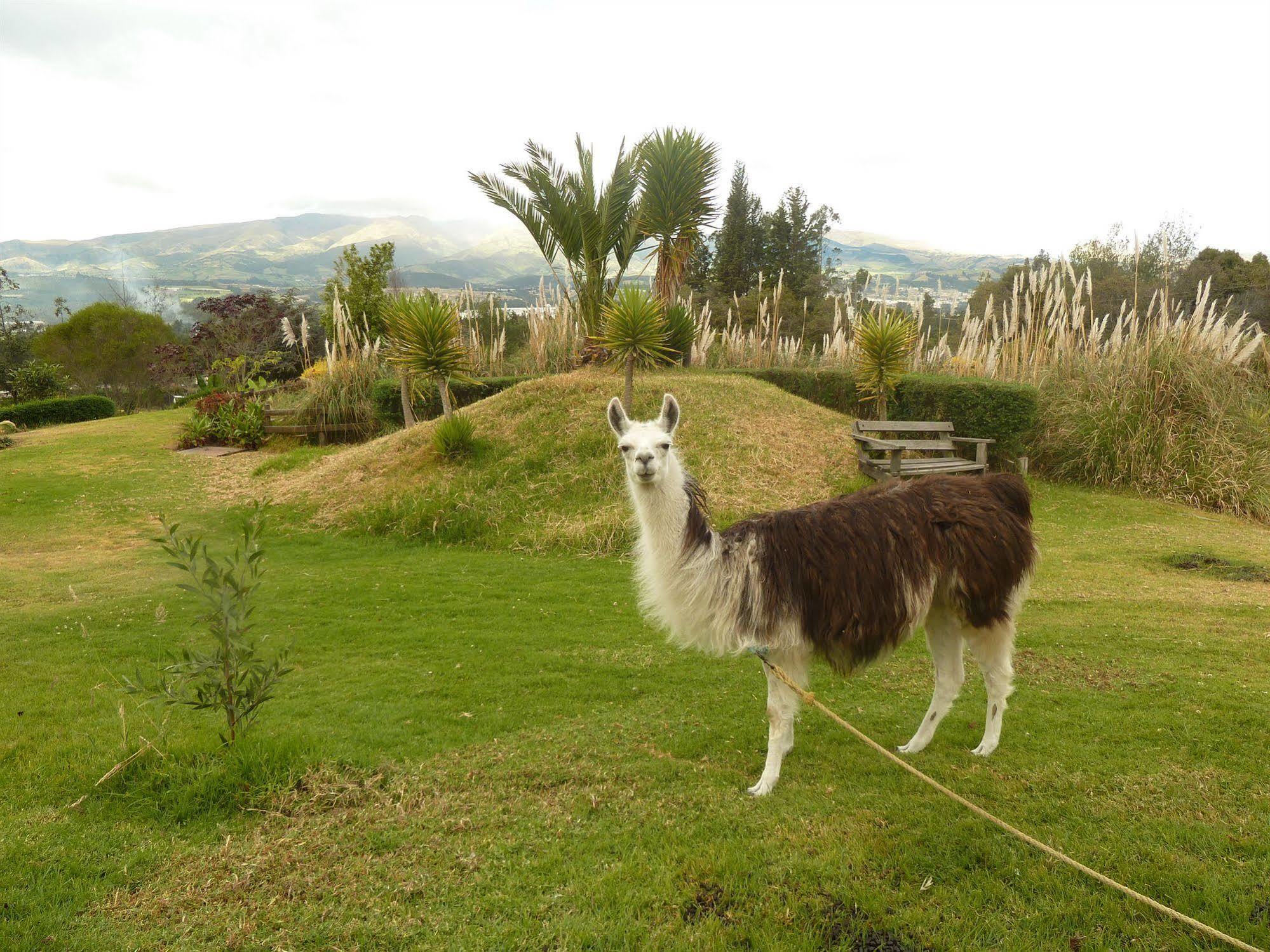Hacienda Hosteria San Luis Cayambe Dış mekan fotoğraf